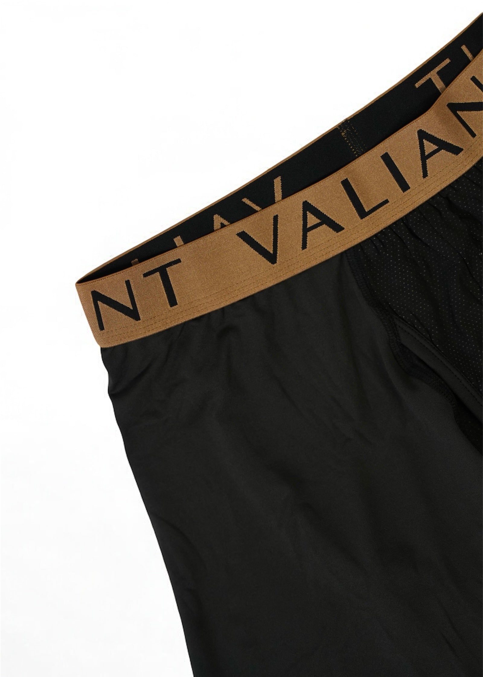 VALIANT BOXERS