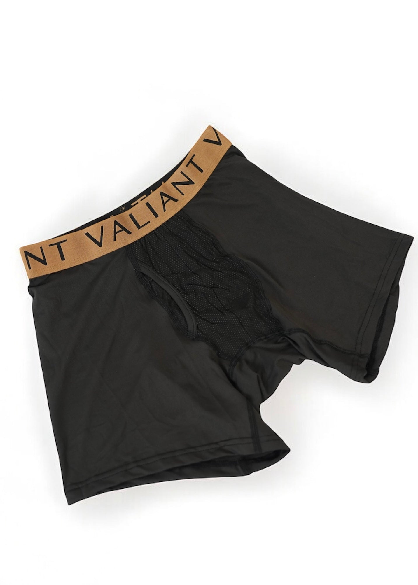 VALIANT BOXERS
