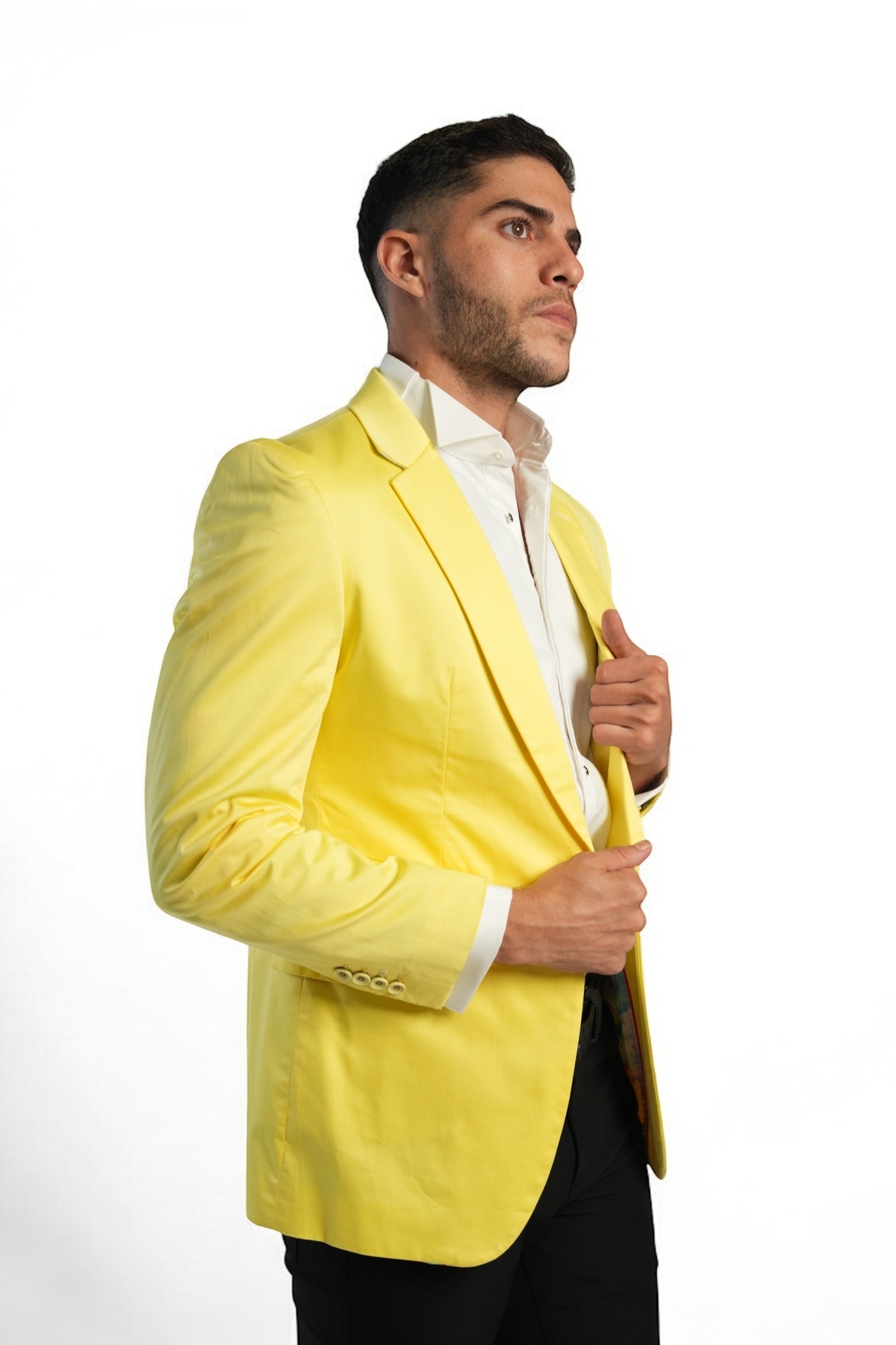 VALIANT BSD699V2 BLAZER