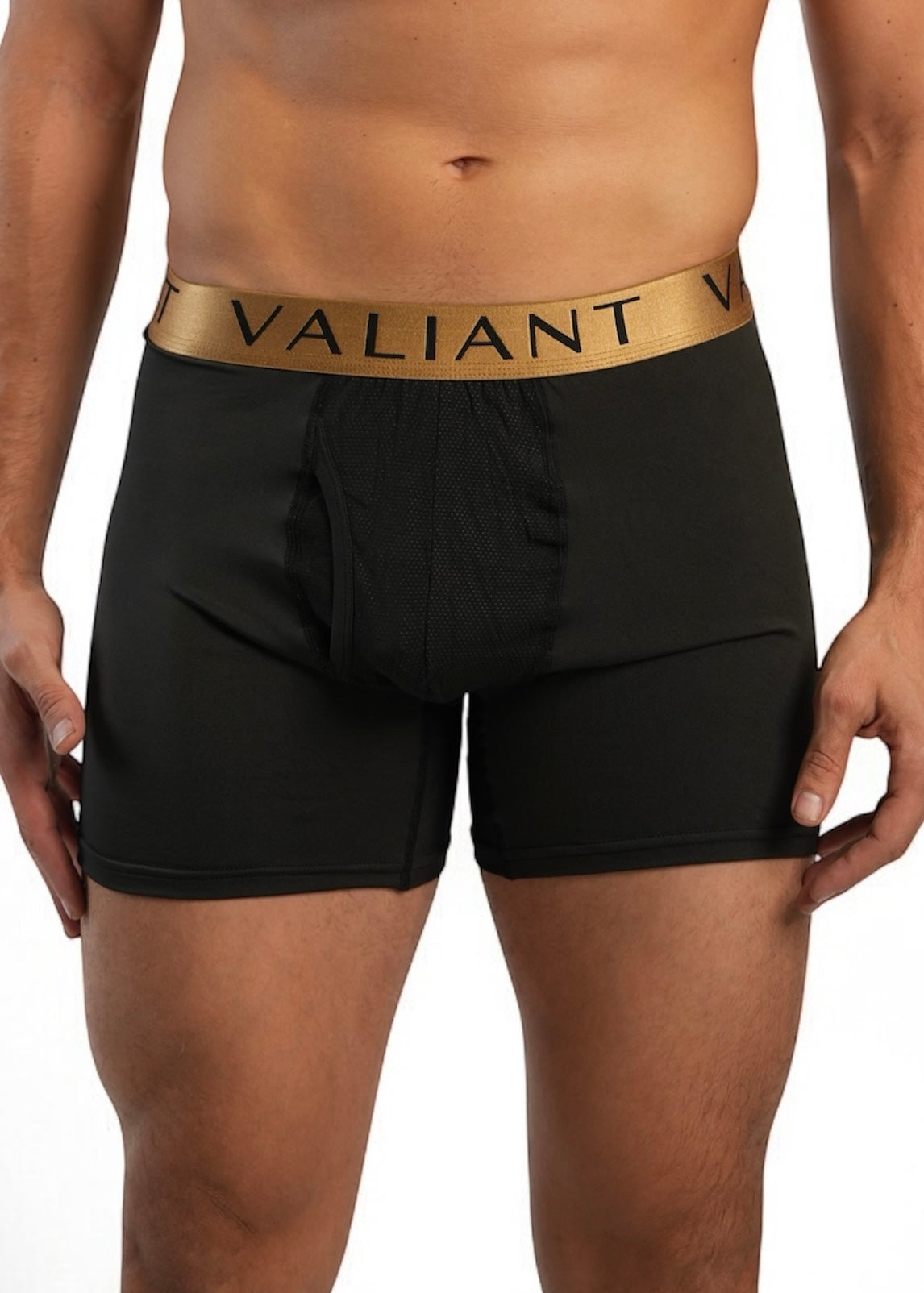 VALIANT BOXERS